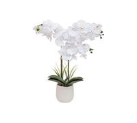 Atmosphera Créateur d'intérieur - Orchidée Artificielle en Pot "Riva" 60cm Blanc Blanc G