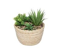 Atmosphera Créateur d'intérieur - Plante Artificielle "Composition" 18cm Naturel & Vert Vert G