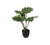 Atmosphera – Plante artificielle déco Palmier 65 cm Vert & Noir