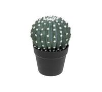 Atmosphera Créateur d'intérieur - Plante Artificielle en Pot "Cactus" 25cm Vert Vert G