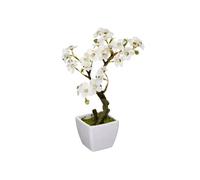 Atmosphera Créateur d'intérieur - Plante Artificielle en Pot "Cerisier" 26cm Blanc Blanc G