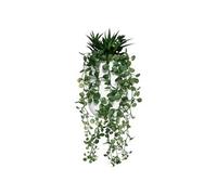 JJA Composition Plante GRASSE RETOMBANTE 33CM