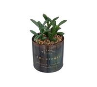 Atmosphera - Plante artificielle en pot Déco Bota 14 cm Noir G