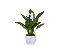 Créateur d'intérieur - Plante Artificielle "Lys de la Paix" 54cm Vert & Blanc