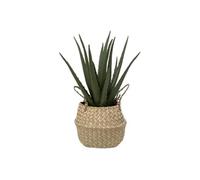 Créateur d'intérieur - Plante Artificielle & Pot "Aloe Vera" 37cm Vert