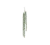 Créateur d'intérieur - Plante Tombante Déco "Séneçon" 37cm Vert