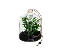 Atmosphera – Terrarium à suspendre Naly 15 cm Vert