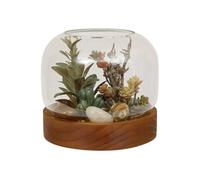 Terrarium Wonj 15,7x14cm - Atmosphera createur d'interieur