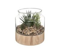 Atmosphera – Plante artificielle en terrarium, pot verre H17,5 cm