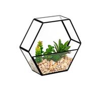 Terrarium Hexagonal en Verre "Pia" 20cm Noir