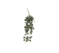 Atmosphera Créateur d'intérieur – Plante artificielle tombante d'eucalyptus Drew H80 cm Vert