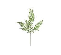 Atmosphera - Tige fougère Artificielle James Vert h90cm