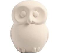 50511 Blanc Tirelire