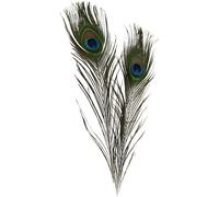 Creativ Company CC plumes de paon 10 pièces