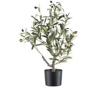 CREATIV green Olivier artificiel 70 cm avec 16 fruits dans un pot en plastique I Olivier en pot avec terre I Petit arbre artificiel pour l'intérieur I Plante décorative de qualité supérieure
