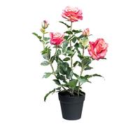 CREATIV green Rosier artificiel de 58 cm avec pétales roses dans un pot avec terre I Rosier artificiel I Rose en pot I Arbre artificiel pour l'intérieur I Plante décorative de qualité supérieure et