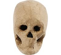 Creativ Lot de 10 cm en Papier mché en forme de tête de mort