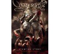 Creative chaos - DVD Zone 1 DVD