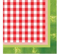 Creative Converting Lot de 16 serviettes en papier pour boissons, pastèque juteuse