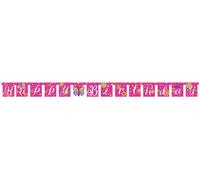 Creative Converting - Papillon - Drapeau, Joyeux Anniversaire - Plastique SG24803 (Taille unique) (Rose/Blanc)