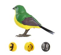 Creative Fun Simated Bird Voice Little Bird Sensing Jouet électrique pour enfants et Chirping B Electronic V7n4