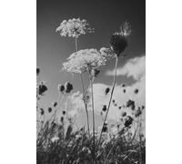 Creative Grid Journal - Graph Edition: Minimalist graph notebook for sketching, design planning, mindful organization and clear thinking