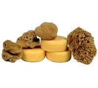 Creative Hobbies Creative HobbiesÃ‚® Synthetic and Natural Silk Sponges for Painting, Crafts, Ceramics, Pottery and More, Value Sponges by