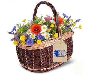 Creative Home Grand Panier Pique-Nique en Osier avec Anse | 43 x 33 x 40 cm