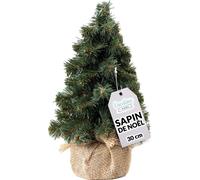 Creative Home Mini Sapin de Noel Artificiel 30 cm Décoration Noel Petit Bureau Vert G