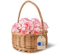 Creative Home Panier de Pâques Ovale en Osier avec Poignée