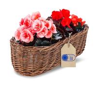 Creative Home Pot de Fleurs en Osier Foncé | 35 x 11 x 11 cm (+/- 2 cm)