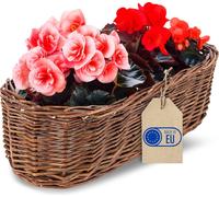 Creative Home Pot de Fleurs en Osier Foncé 35 x 11 x 11 cm - Tissé à la Main