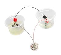 Creative Science Expérience Équipement de laboratoire Construisez votre propre horloge alimentée en eau salée pour enfants Apprentissage de la physique Ensemble scientifique pour enfants