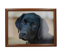 Creative Tops Laptray Imprimé Labrador, Multicolore, 44 x 34 cm