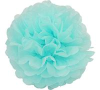 Creativery Lot de 10 Pompons en Papier 12 cm/Pompon en Papier de Soie/Pompon / Fleurs Décoration Anniversaire de décoration