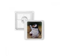 Créature Antarctique Pingouin Science Nature PBT Keycaps pour Clavier mécanique Blanc OEM sans Marquage d'impression R1 Multicolore