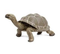 Incredible Creatures 260729 Galapagos Adulte Tortoise Figurine Safari 60729