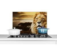 Credence Animal sauvage - Coucher de soleil - Afrique Fond de hotte 70x50 cm Credence aluminium Plaque inox de cuisine