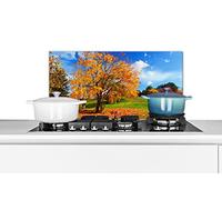 Credence Arbre - Feuilles - Automne - Saisons Fond de hotte 60x30 cm Credence aluminium Plaque inox de cuisine