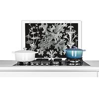 Credence Art - Corail - Ernst Haeckel - Maîtres anciens - Nature Fond de hotte 60x40 cm Credence aluminium Plaque inox de cuisine