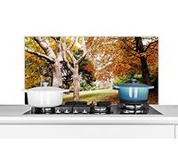 Credence Automne - Arbres - Feuilles - Nature Fond de hotte 100x50 cm Credence aluminium Plaque inox de cuisine