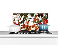 Credence Automne - Feuilles - Campagne - Saisons Fond de hotte 60x30 cm Credence aluminium Plaque inox de cuisine