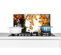 Credence Automne - Feuilles - Nature Fond de hotte 60x30 cm Credence aluminium Plaque inox de cuisine