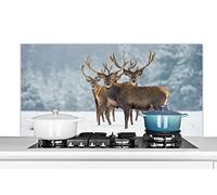 Credence Cerf - Animaux - Neige - Hiver - Paysage - Nature Fond de hotte 120x60 cm Credence aluminium Plaque inox de cuisine