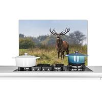 Credence Cerf - Bois - Herbe Fond de hotte 80x55 cm Credence aluminium Plaque inox de cuisine