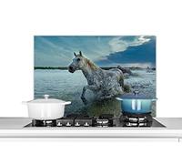 Credence Cheval - Eau - Goutte Fond de hotte 90x60 cm Credence aluminium Plaque inox de cuisine