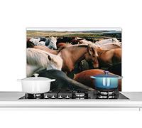 Credence Chevaux - Animaux - Jeu Fond de hotte 90x60 cm Credence aluminium Plaque inox de cuisine