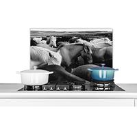 Credence Chevaux - Sauvage - Noir - Blanc Fond de hotte 70x50 cm Credence aluminium Plaque inox de cuisine