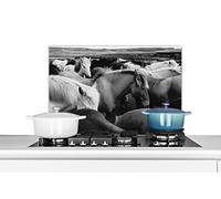 Credence Chevaux - Sauvage - Noir - Blanc Fond de hotte 70x50 cm Credence aluminium Plaque inox de cuisine