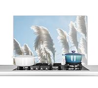 Credence Ciel - Herbe - Herbe de la pampa Fond de hotte 100x65 cm Credence aluminium Plaque inox de cuisine